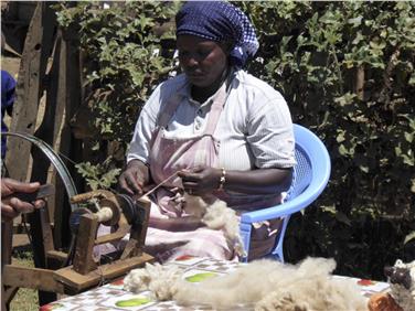 Altri Ogiek hanno acquisito le tecniche di tosatura, lavaggio e tessitura della landa di una razza locale di pecora per realizzarne tappeti