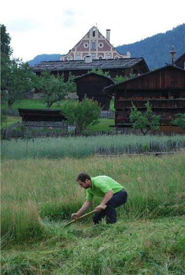 Corso di falciatura a mano al Museo di Teodone