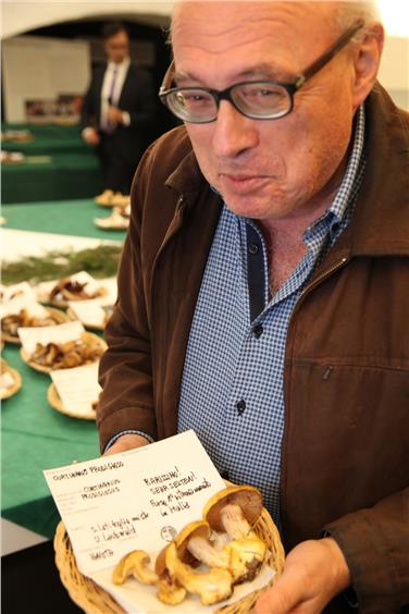 Francesco Bellù con il rarissimo Cortinario prodigioso (Foto Azienda musei provinciali)