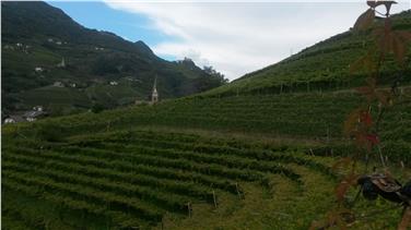A settembre pioggia e basse temperature: nella foto la passeggiata che sale a Sant'Osvaldo, sopra Bolzano (Foto USP/mac)