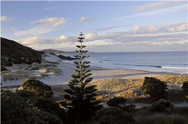 Lo spettacolo paesaggistico offerto dalla costa nord della Nuova Zelanda (Foto Norbert Dejori)
