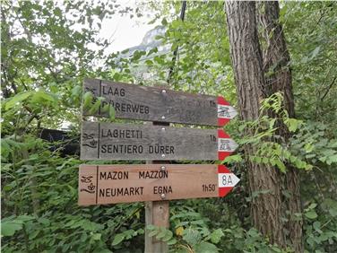 Tra Alto Adige e Trentino: il sentiero del Dürer (Foto USP/GECT)