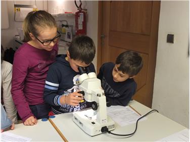 A tu per tu con la scienza: al via la rassegna per bambini Kidscience (Foto Museo scienze naturali)
