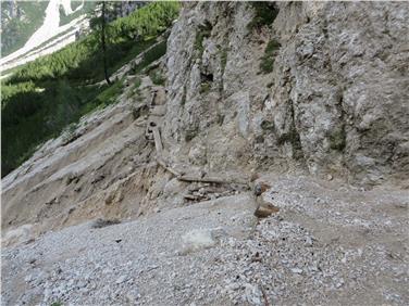 In seguito ai danni intervenuti per il maltempo nei mesi estivi la scorsa estate, sono previsti lavori urgenti straordinari in vari parchi naturali e in zone di tutela. Qui danni nel Paro Fanes-Senes-Braies (Foto: USP/Ufficio parchi naturali)
