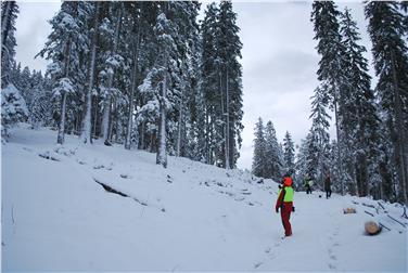 Le sessioni forestali nell'Ispettorato forestale di Vipiteno partono il 9 gennaio (Foto Ripartizione Foreste)
