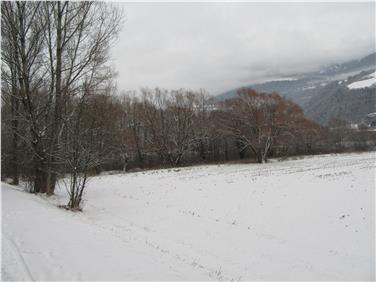 Grazie agli interventi di rinaturalizzazione sarà incrementata la varietà di habitat nel biotopo Prà Millan e così anche favorita la biodiversità (Foto: USP/Ispettorato forestale Bressanone)