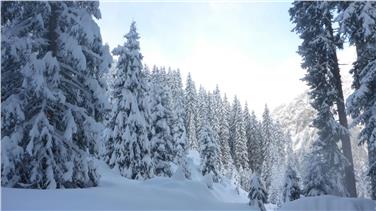 Avvio anticipato per la stagione invernale 2017 con nevicate dal 10 all'11 dicembre (Foto: USP/Servizio meteo provinciale)
