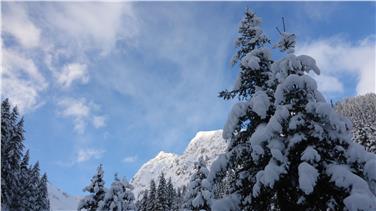Nevicate da record nel mese di gennaio in Alto Adige (Foto USP/Servizio meteo)