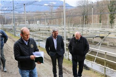 Ex itticoltura provinciale si trasforma in Centro tutela di pesci e gamberi autoctoni. Assessore Schuler in sopralluogo verifica stato dei lavori (Foto: USP/Thomas Pichler)