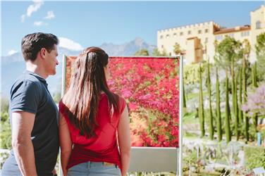 Un set fotografico perfetto ai Giardini di Castel Trauttmansdorff (Foto Giardini Castel Trauttmansdorff)
