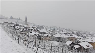 Inverno particolarmente nevoso in Alto Adige: un'immagine di Termeno scattata il 13 gennaio (Foto USP/Servizio meteo)