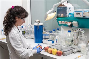 Presso il Centro Laimburg si studiano le proprietà delle mele contro l'allergia alla betulla Foto Usp