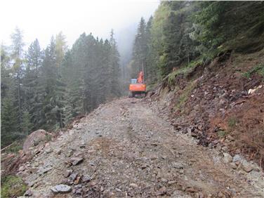 Circa 400 lavoratori stagionali impegnati nei 600 progetti curati direttamente dagli Ispettorati forestali (Foto USP)