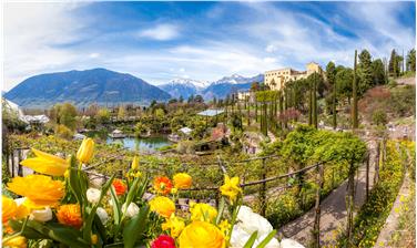 I Giardini di Castel Trauttmansdorff in fiore per l'inizio della nuova stagione (Foto USP/Trauttmansdorff)