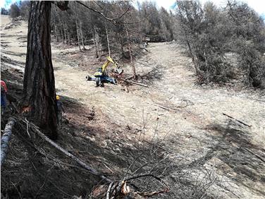 Collaborazione fra strutture provinciali e comunali per il ripristino delle condizioni di sicurezza (Foto USP)