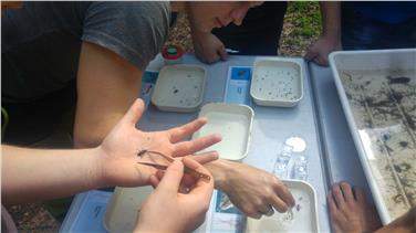 Con il progetto "La vita nell'acqua" tramite attività sul campo si va alla scoperta delle forme di vita nei fiumi scoprendo così lo stato di salute delle acque